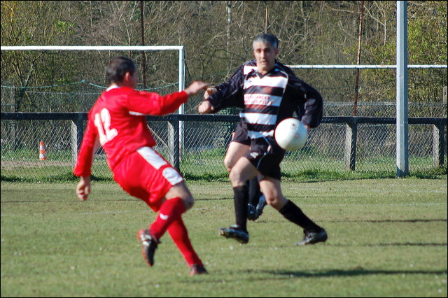 dsc_0048.jpg
