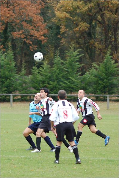dsc_5101.jpg