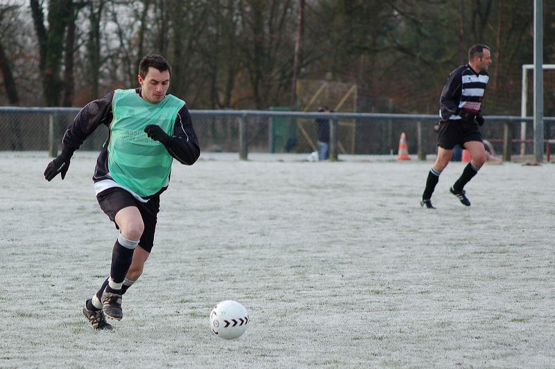 dsc_6565.jpg