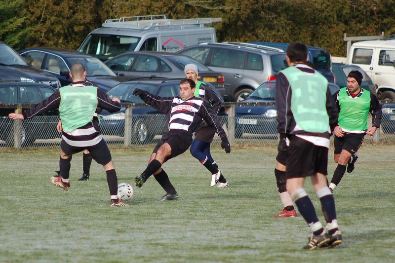 dsc_6613.jpg