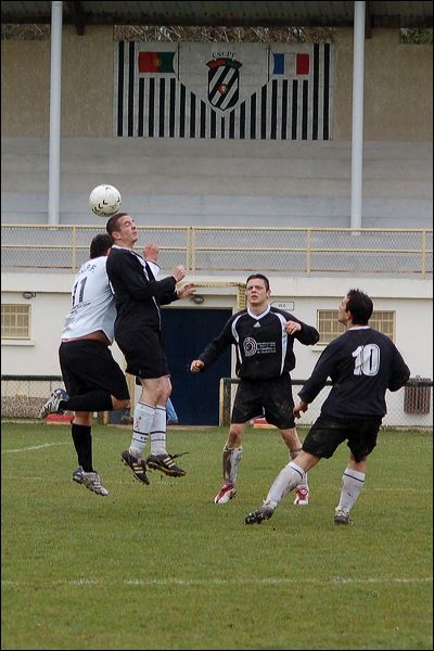 dsc_8715.jpg