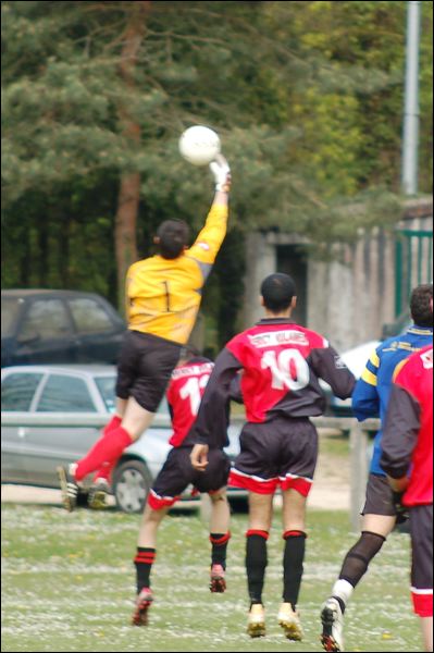 dsc_9017.jpg