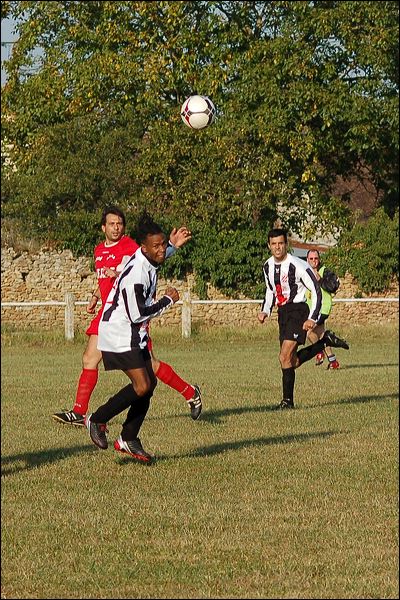 dsc_1869.jpg