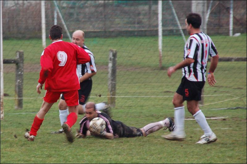 dsc_4172.jpg