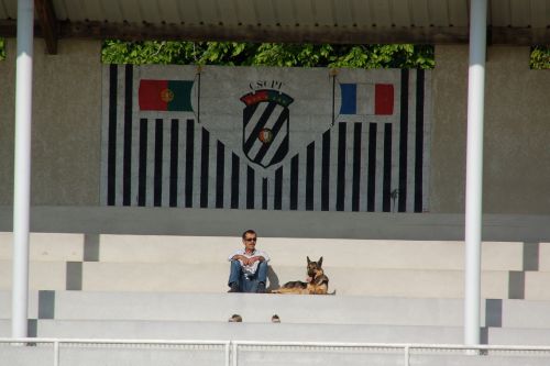 Tribune VIP, juin 2013